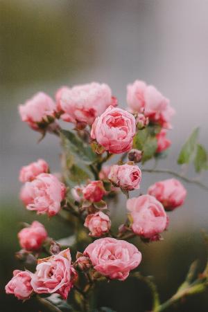 21 - lp3gF0T.jpg Android HD Nature Wallpapers